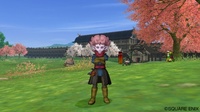 2011-10-19_dq10_02.jpg