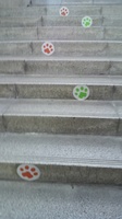 20110502_Wakayama_Tama01.jpg