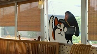 20110502_Wakayama_Tama10.jpg