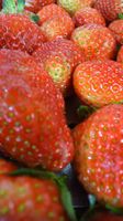 20110504_ichigo02.jpg