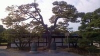 20111029_Kyoto_Sansaku_05.jpg