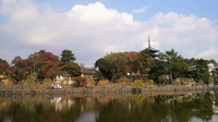 20111113_Nara_Kasugataisha_02.jpg