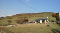 20111113_Nara_Kasugataisha_03.jpg