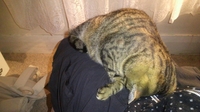 20120408_01.jpg