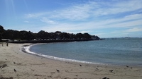20120408_04.jpg