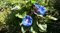 20120408_10.jpg