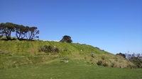 20120408_13.jpg