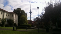 20120409_AlbertPark_02.jpg