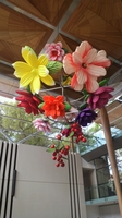 20120409_AlbertPark_07.jpg