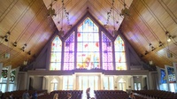 20120414_NewZealand_Parnel19.jpg