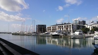 20120414_NewZealand_Parnel33.jpg