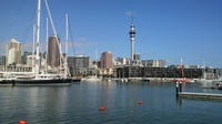 20120414_NewZealand_Parnel37.jpg
