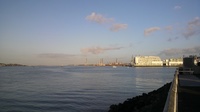 20120414_NewZealand_Parnel38.jpg