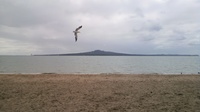 20120415_NewZeland_MissionBay04.jpg