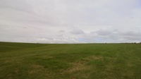 20120415_NewZeland_MissionBay14.jpg