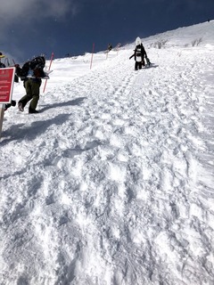IMG_6216.jpg