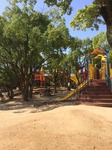 image1.JPG