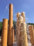 image3.JPG