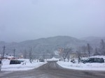 image1.JPG