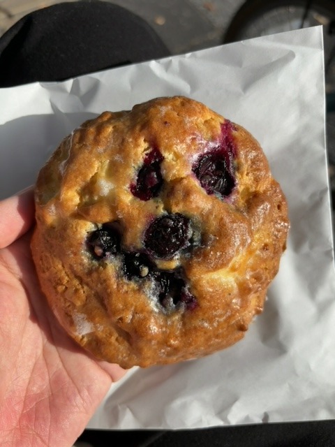 image2.jpeg