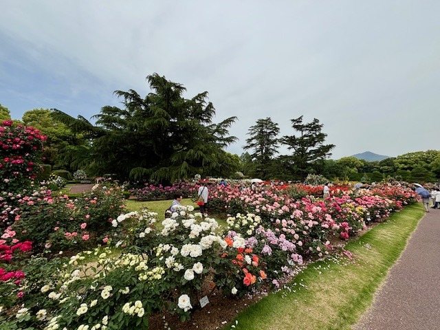 image1.jpeg