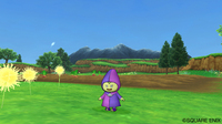 purikupo-female.jpg